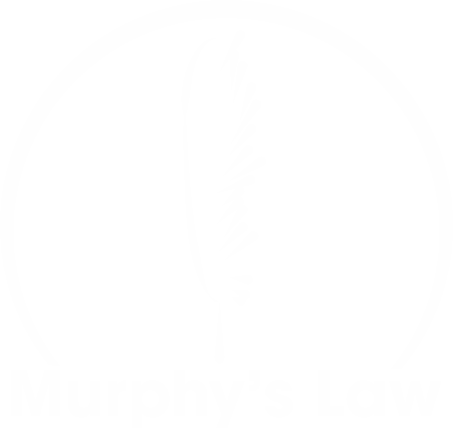 murphy's law